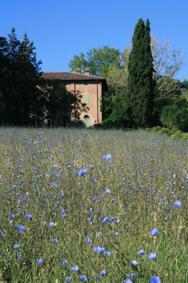 Galluzzo Ancient Country Villa Casalecchio Di Reno Eksteriør billede